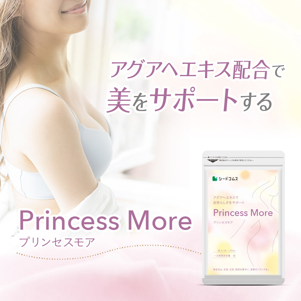 Princess More(プリンセスモア) – シードコムス本店