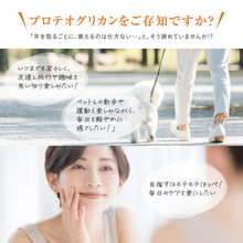 画像をギャラリービューアに読み込む, プロテオグリカン