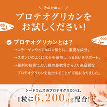 画像をギャラリービューアに読み込む, プロテオグリカン