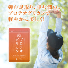 画像をギャラリービューアに読み込む, プロテオグリカン