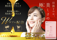 画像をギャラリービューアに読み込む, 極プラセンタ