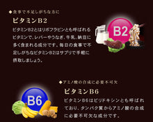 画像をギャラリービューアに読み込む, 極プラセンタ