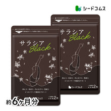 画像をギャラリービューアに読み込む, サラシアBLACK