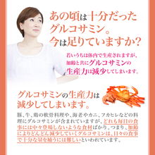 画像をギャラリービューアに読み込む, 北海道産鮭由来プロテオグリカン&コンドロイチン配合グルコサミン