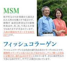 画像をギャラリービューアに読み込む, 北海道産鮭由来プロテオグリカン&コンドロイチン配合グルコサミン