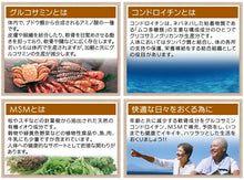 画像をギャラリービューアに読み込む, グルコサミン+コンドロイチン+MSM