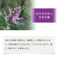 画像をギャラリービューアに読み込む, スラキュット