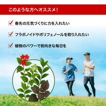 画像をギャラリービューアに読み込む, 甜茶エキス 甘草&シソ葉&緑茶配合