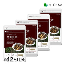 画像をギャラリービューアに読み込む, 冬虫夏草