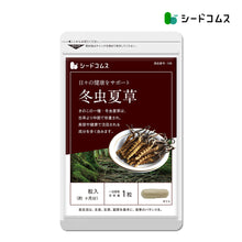 画像をギャラリービューアに読み込む, 冬虫夏草