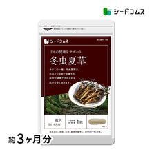 画像をギャラリービューアに読み込む, 冬虫夏草