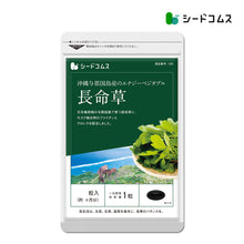 画像をギャラリービューアに読み込む, 長命草(フコイダン・クロレラ入)ソフトカプセルタイプ