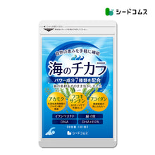 画像をギャラリービューアに読み込む, 海のチカラ