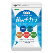 画像をギャラリービューアに読み込む, 菌のチカラ