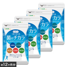 画像をギャラリービューアに読み込む, 菌のチカラ