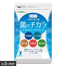 画像をギャラリービューアに読み込む, 菌のチカラ