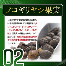 画像をギャラリービューアに読み込む, ノコギリヤシ