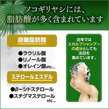 画像をギャラリービューアに読み込む, ノコギリヤシ