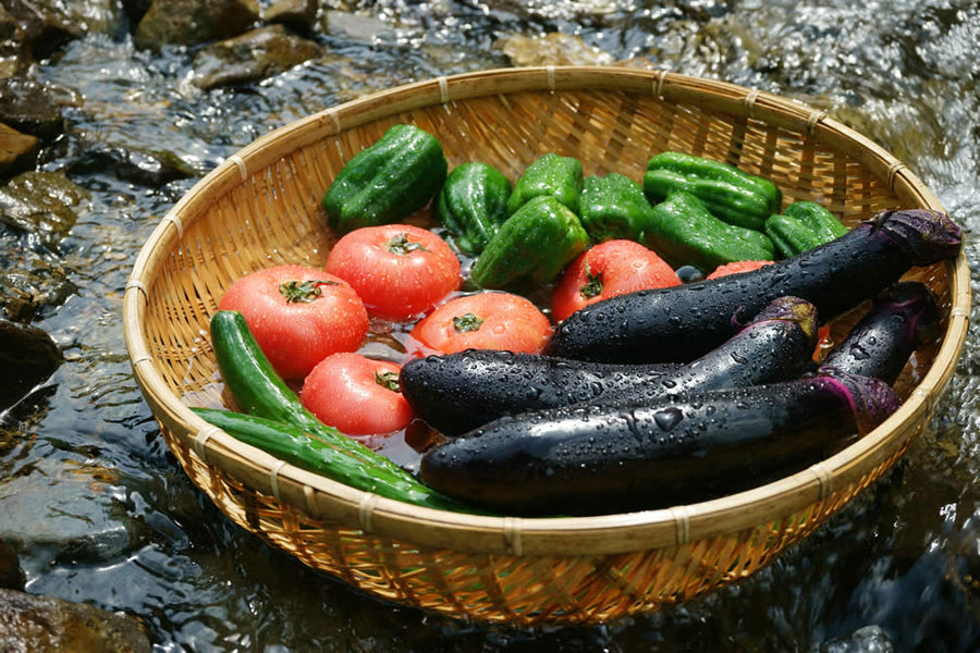 夏野菜の栄養と効果一覧！暑い季節にぴったりなワケ