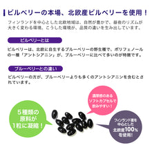 画像をギャラリービューアに読み込む, ビルベリー