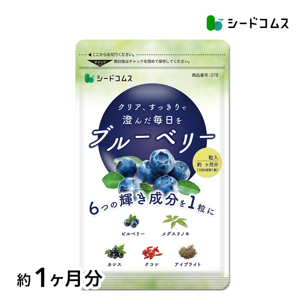 ブルーベリー
