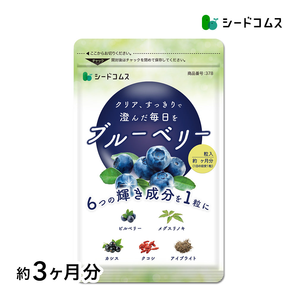 ブルーベリー