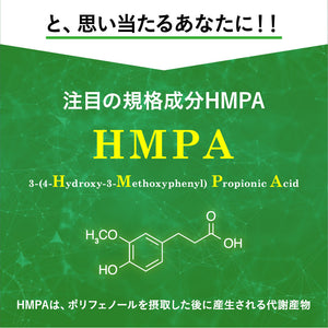 【定期便】BMIと血糖値