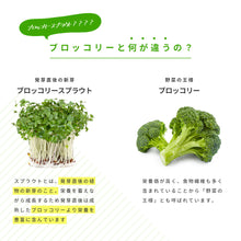 画像をギャラリービューアに読み込む, ブロッコリースプラウト