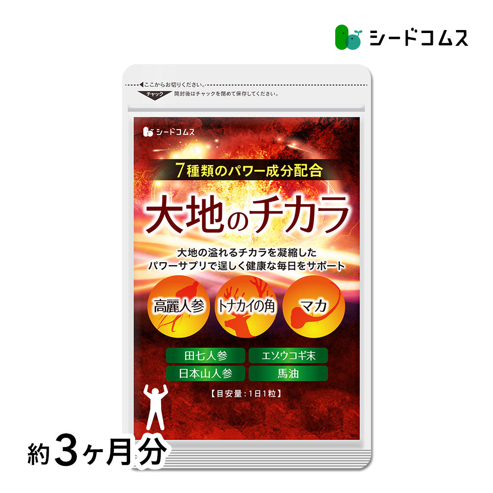 大地のチカラ