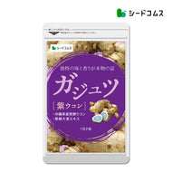 ガジュツ