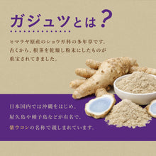 画像をギャラリービューアに読み込む, ガジュツ