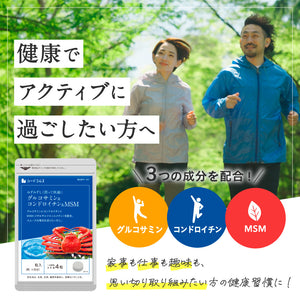 専用　グルコサミン + コンドロイチン + MSM 約3ヶ月分 + 他 6点★ グルコサミン＋コンドロイチン＋MSM – シードコムス本店