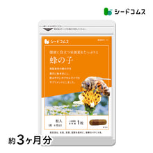 画像をギャラリービューアに読み込む, 蜂の子
