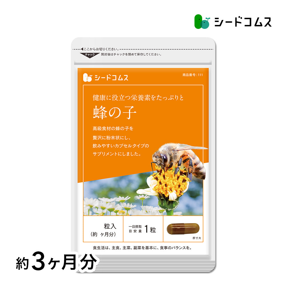 蜂の子