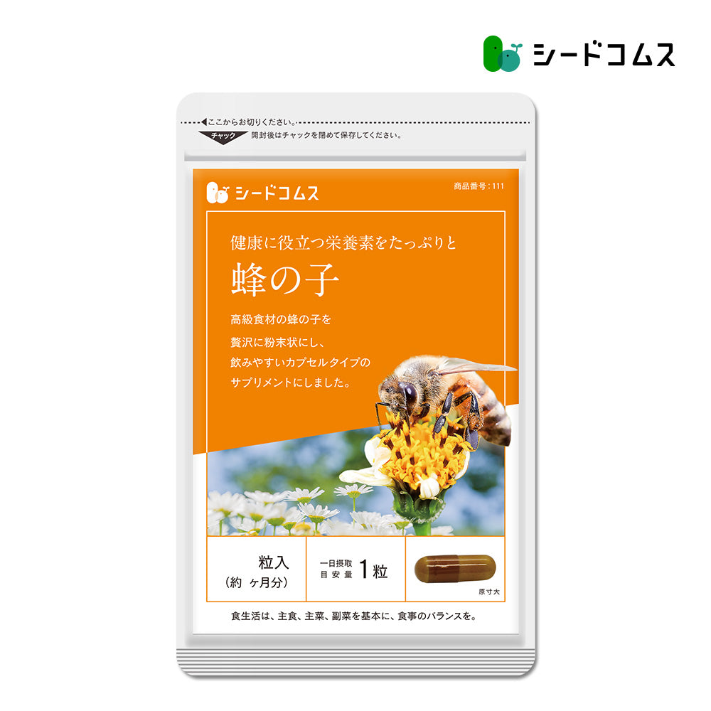 蜂の子。オオスズメ蜂。冷凍餌 真空パック500㌘✕2個 合計1kg 蜂の子 – シードコムス本店