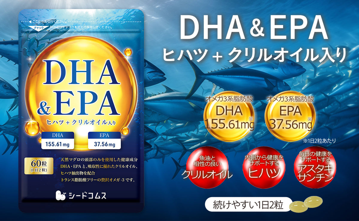 シードコムス本店