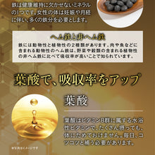 画像をギャラリービューアに読み込む, 国産ごぼう入りヘム鉄 〜葉酸配合〜
