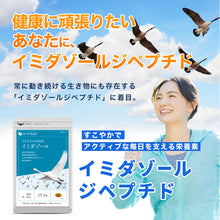 画像をギャラリービューアに読み込む, イミダゾールジペプチド