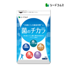 画像をギャラリービューアに読み込む, 菌のチカラ