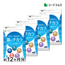 画像をギャラリービューアに読み込む, 菌のチカラ