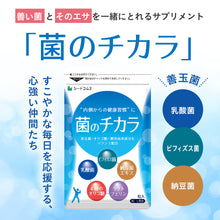 画像をギャラリービューアに読み込む, 菌のチカラ