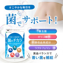 画像をギャラリービューアに読み込む, 菌のチカラ