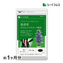 画像をギャラリービューアに読み込む, 筋骨草+ボスウェリアセラータ

