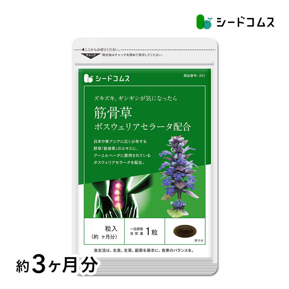 筋骨草+ボスウェリアセラータ