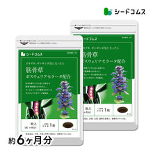 画像をギャラリービューアに読み込む, 筋骨草+ボスウェリアセラータ
