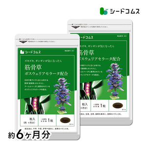筋骨草+ボスウェリアセラータ