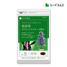 画像をギャラリービューアに読み込む, 筋骨草+ボスウェリアセラータ
