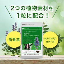 画像をギャラリービューアに読み込む, 筋骨草+ボスウェリアセラータ