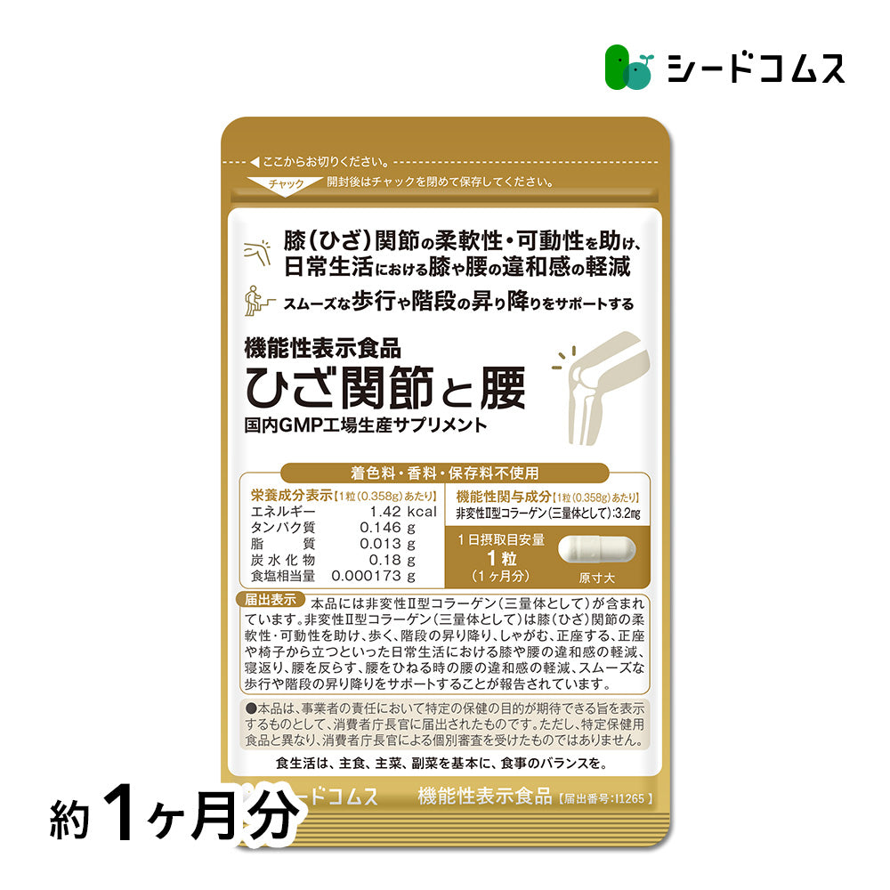 ひざ関節と腰