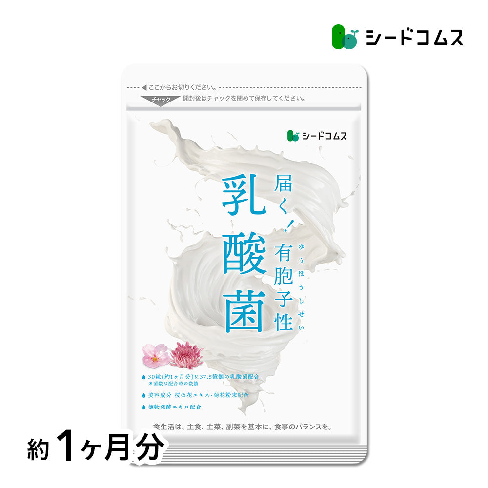 有胞子性 乳酸菌ソフトカプセル